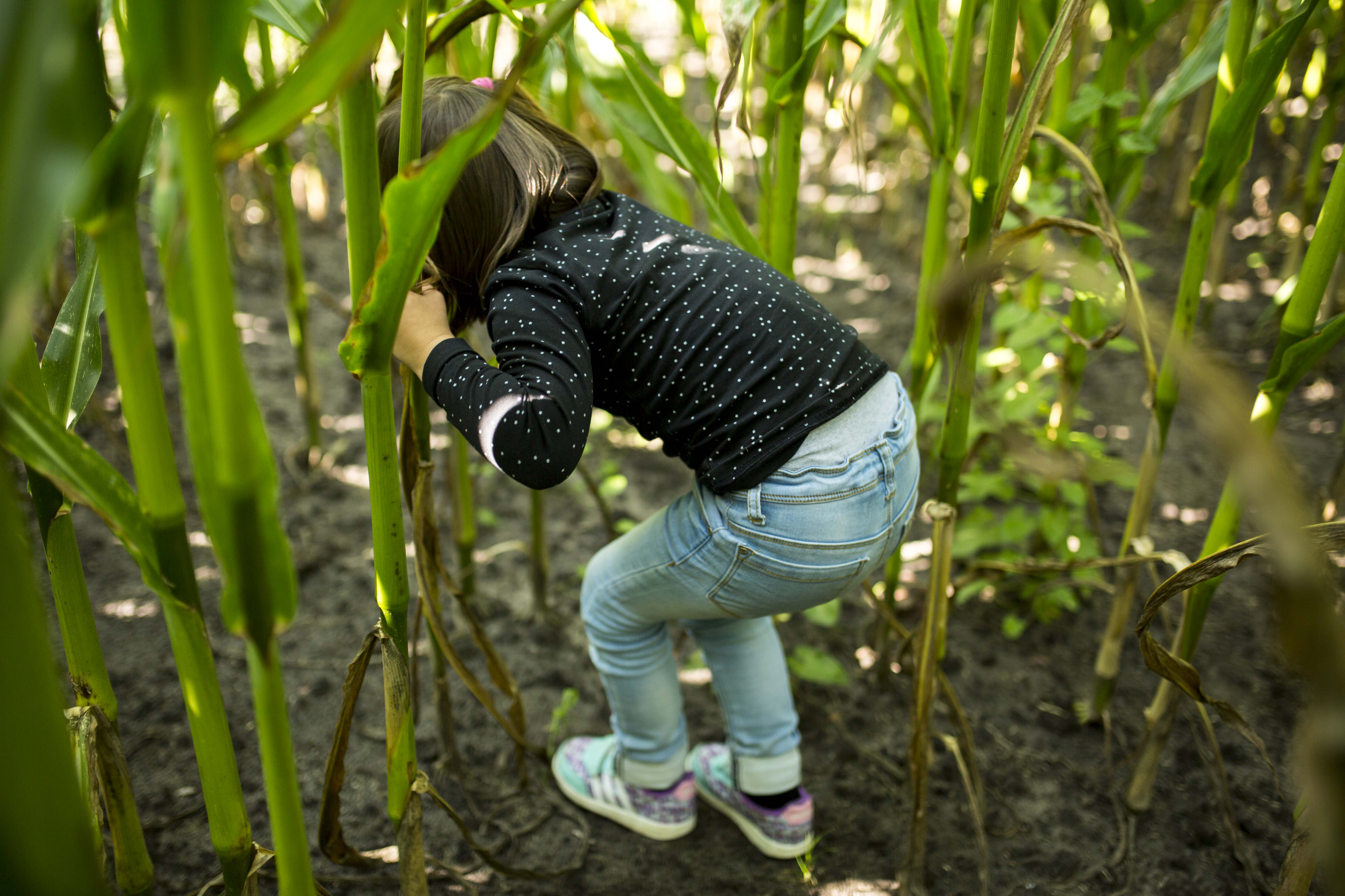 kind kinderfotografie 